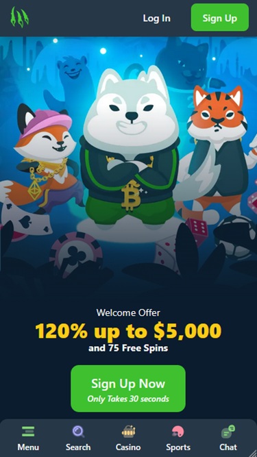 Wild-io No KYC Casinos in Canada 2026